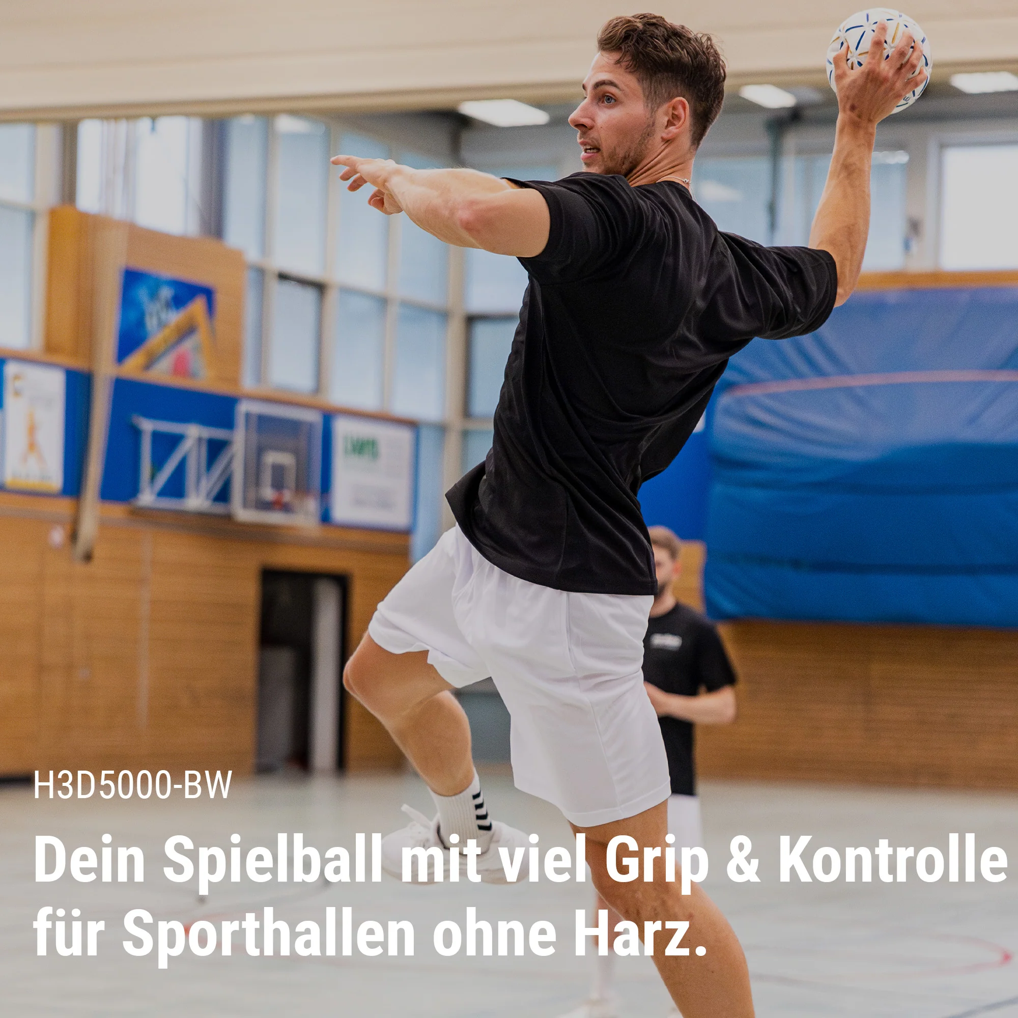 Vorschaubild 2